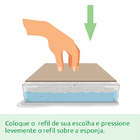 Kit Mudas  Creme De Espinafre