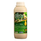 Kit Óleo Essencial Eucalipto Citriodora Ambiente Sauna 3l