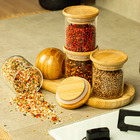 Kit Organizador De Bancada Para Temperos C/ Saleiro Esférico