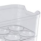 Kit Organizador De Geladeira 4,5l E Porta Ovos 12 Unidades T