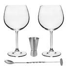 Kit Para Gin Com 2 Taças Gin, 01 Dosador Duplo, 01 Colher Bai