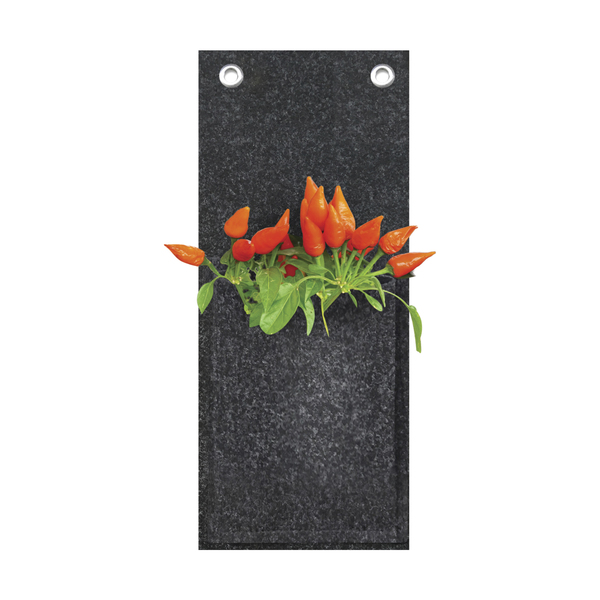 Kit para Jardim Vertical 1 Vasos Feltro Cinza 24,5x30cm