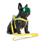 Kit Passeio Madog Floral M: Peitoral, Guia + Garrafa Água