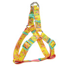 Kit Passeio Madog Floral M: Peitoral, Guia + Garrafa Água