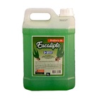 Kit Pasta Pinho Aqualiv E Essência Eucalipto Concentrado 5l