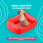 Kit Pet Xixi Dog Cama Cachorro M 57x37 Manda Na Casa