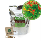 Kit - Pimenta (étna Ornamental)