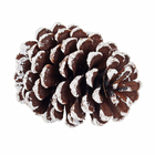 Kit Pinhas Decorativas de Natal 2 unidades