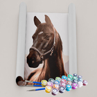 Kit Pintura Terapêutica - Cavalo Negro