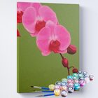 Kit Pintura Terapêutica - Orquídea Rosa