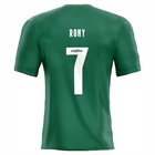 Kit Placa Decorativa Modelo Camiseta Palmeiras 2021 Pdtpau002
