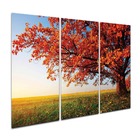 Kit Placas Quadros Decorativos 3 Pç 3d Borda Infinita Árvore