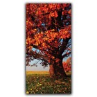 Kit Placas Quadros Decorativos 3 Pç 3d Borda Infinita Árvore