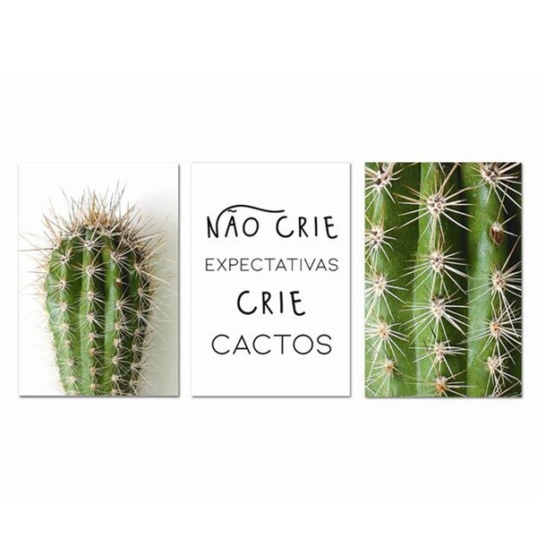 Kit Placas Quadros Decorativos 3 Pçs Mdf 20x30 Cactos