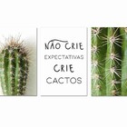Kit Placas Quadros Decorativos 3 Pçs Mdf 30x45 Cactos
