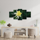 Kit Placas Quadros Decorativos 5 Pç 3d Borda Infinita Flor 2