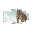 Kit Placas Quadros Decorativos 5 Pçs 3d Borda Infinita Tigre