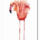 Kit Placas Quadros Decorativos 5 Peças Mdf 20x30 Flamingo