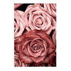 Kit Plaquinhas Decorativas Rosas 20x30