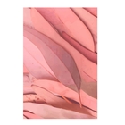 Kit Plaquinhas Decorativas Rosas 20x30