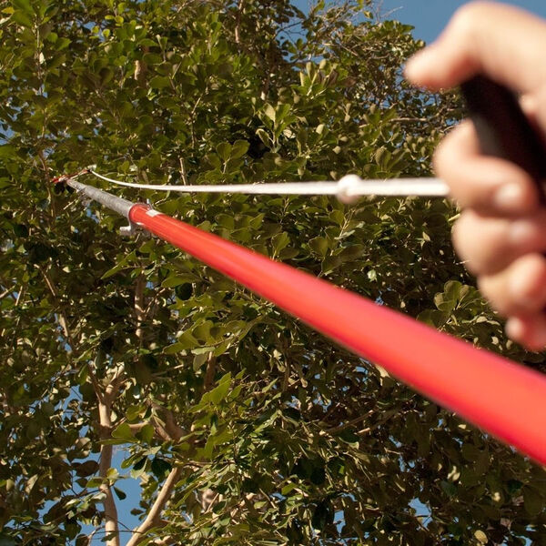 Kit Poda Aérea III Com Tesoura Bahco P34-37, Cabo  Duralumini