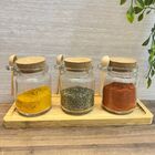 Kit Porta Tempero/Condimentos Vidro Bancada 250ml Com Bandeja