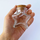 Kit Potes De Temperos E Condimentos Tipo Estrela 80ml Quantid