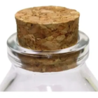 Kit Potes De Vidro Penicilina- Acompanha 5 Potes De Vidro 60m