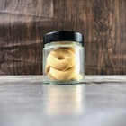 Kit Potes De Vidro Pianezza - Pote De Vidro Alto Pianezza 100