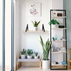 Kit Prateleira Mila 1.0 Natural/Preto – Mérito Movelaria