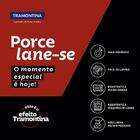 Kit Prato Raso Churrasco Classic Porcelana 28 Cm 06 Peças Tra