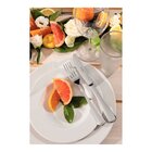 Kit Prato Raso Tramontina Maria Augusta Em Porcelana 27 Cm 06