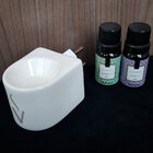 Kit Presente Aromatizador Elétrico De Ambiente E Essências