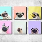 Kit Quadrinhos Pug Engraçado