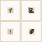 Kit Quadro Em Mdf - 4 Peças