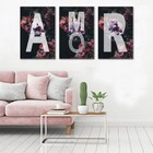 Kit Quadros Decorativos Amor