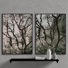 Kit Quadros Decorativos Arvores