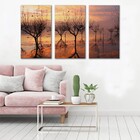 Kit Quadros Decorativos Arvores No Lago