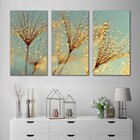 Kit Quadros Decorativos Dente De Leão Dourado