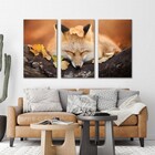 Kit Quadros Decorativos Filhote Raposa