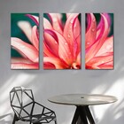 Kit Quadros Decorativos Flores Rosa