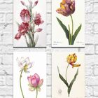 Kit Quadros Decorativos Flores Vintage 4 Peças M4