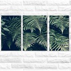 Kit Quadros Decorativos Folhagem Grande