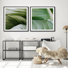 Kit Quadros Decorativos Folhagem Moderna M2