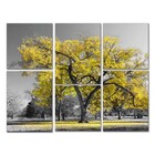 Kit Quadros Decorativos Ipê-amarelo