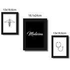 Kit Quadros Decorativos Medicina 3 Peças Pvc Luven Pre