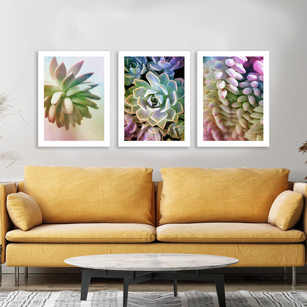 Kit Quadros Decorativos Suculentas Coloridas
