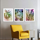 Kit Quadros Decorativos Suculentas Coloridas