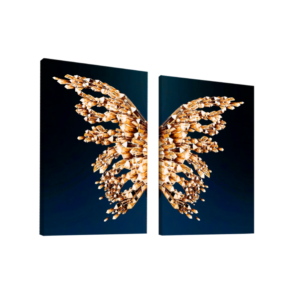Kit Quadros Dupla Asa De Borboleta