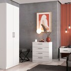 Kit Quarto Guarda-roupa Cômoda 4 Gavetas Mesa De Cabeceira B